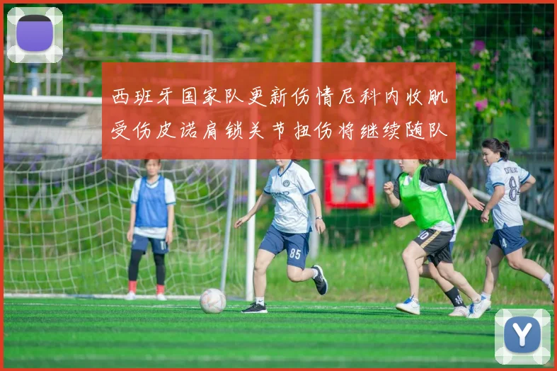 西班牙国家队更新伤情尼科内收肌受伤皮诺肩锁关节扭伤将继续随队训练