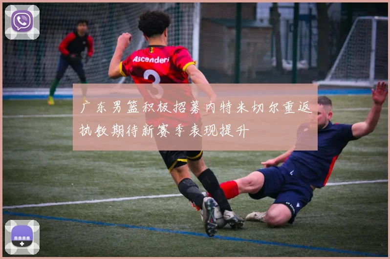 广东男篮积极招募内特米切尔重返执教期待新赛季表现提升
